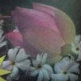 View Bikash Mukherjee's profile